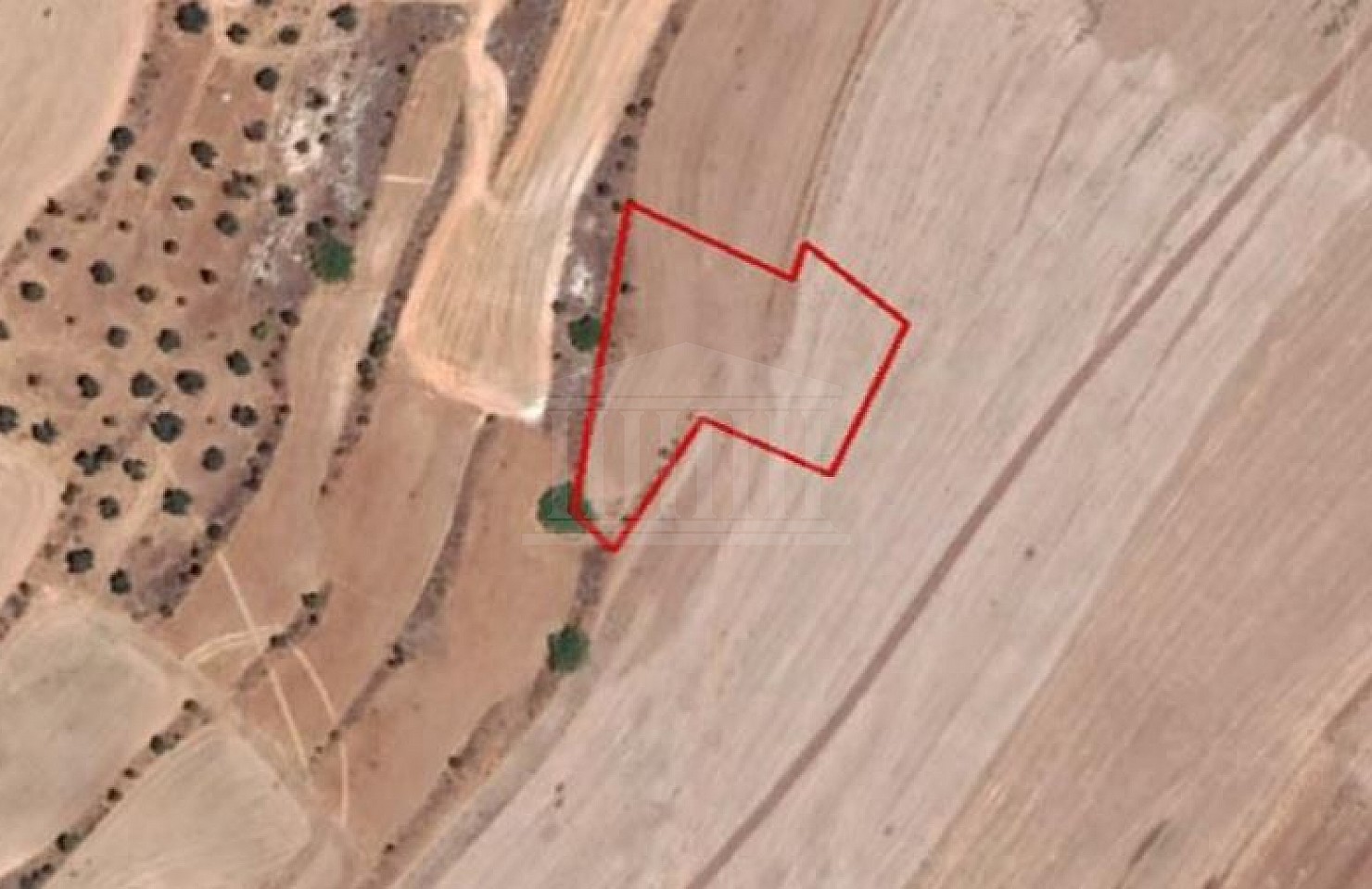Field in Agia Varvara, Nicosia