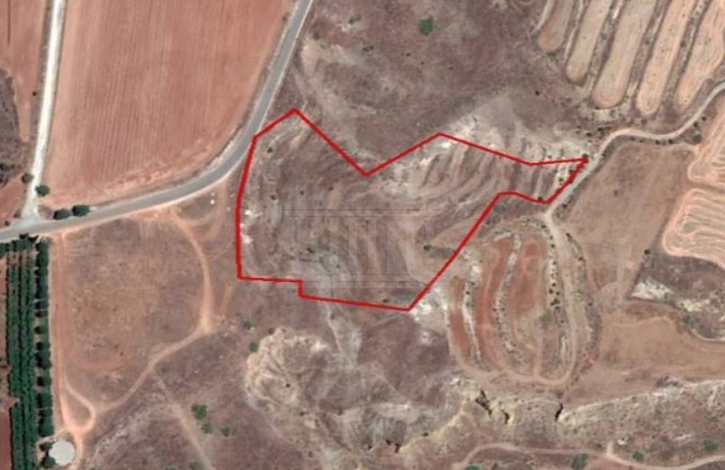 Share of Field in Arediou, Nicosia