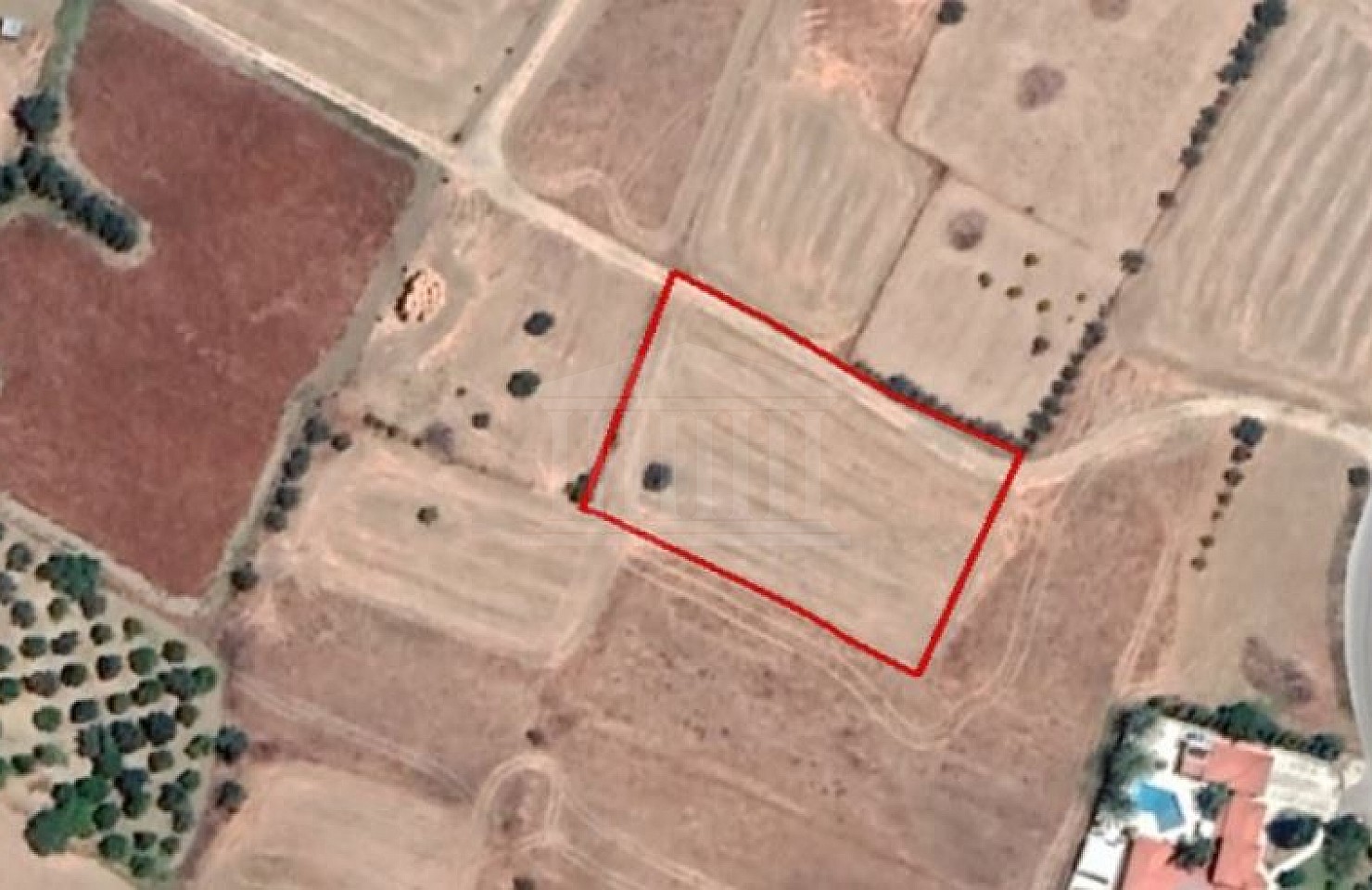 Share of Field in Anageia, Nicosia