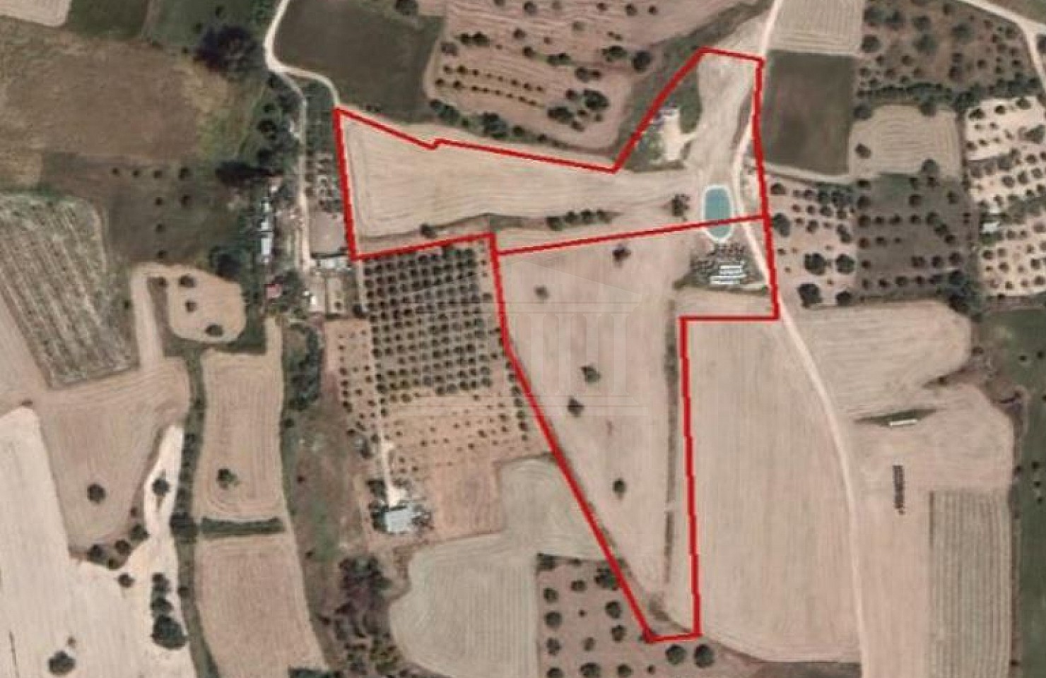 Two Fields in Athienou, Larnaca
