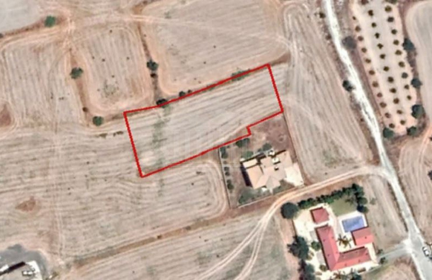 Field in Alampra, Nicosia