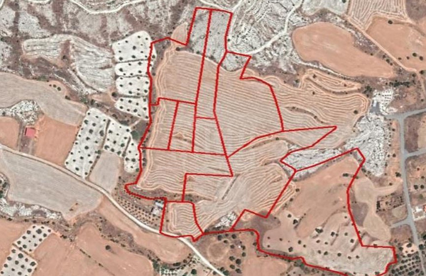Ten Fields in Analiontas, Nicosia