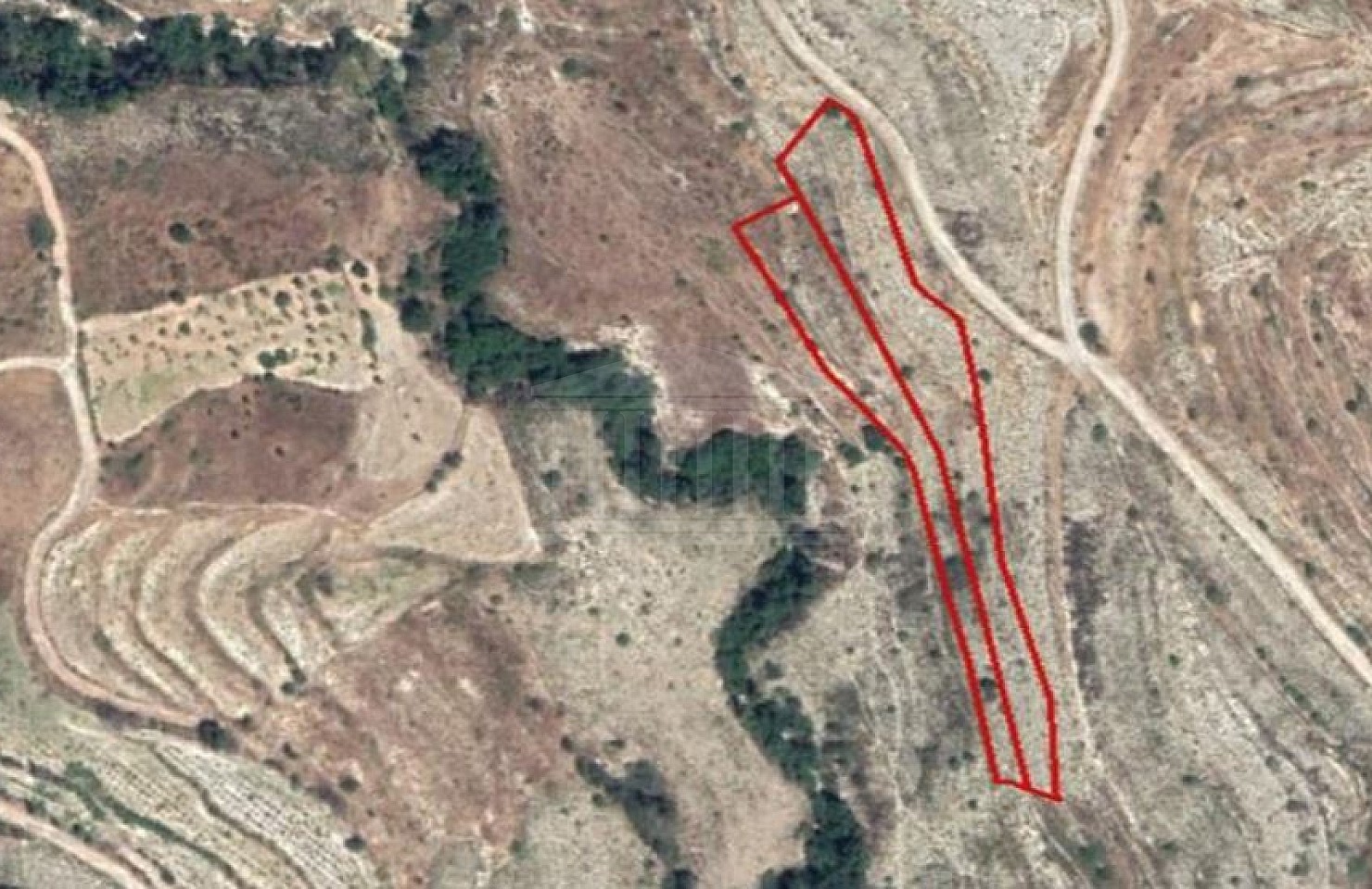 Two Fields in Pachna, Limassol