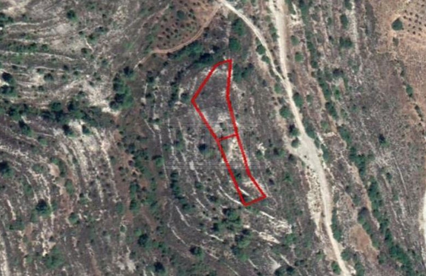 Two Fields in Silikou, Limassol