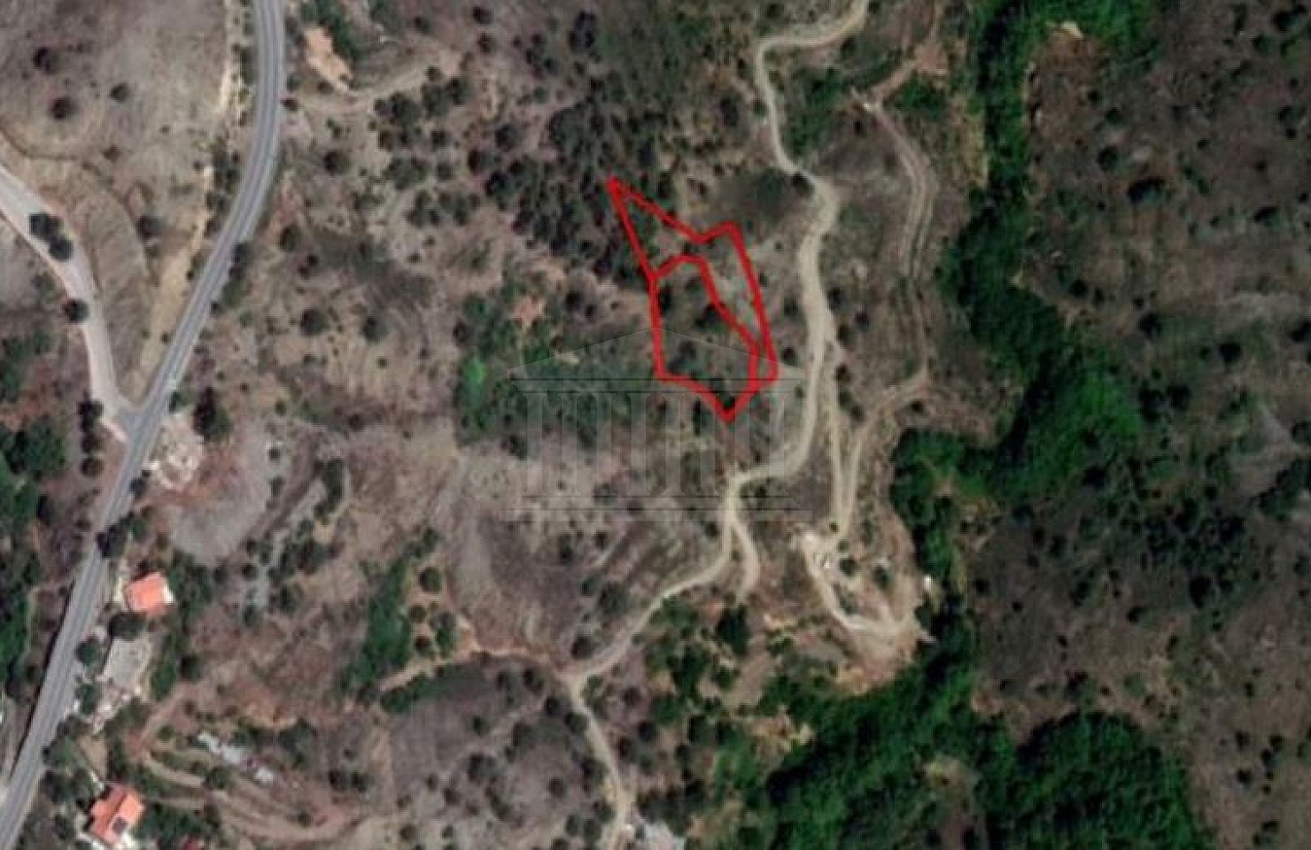 Two Fields in Palaichori, Nicosia