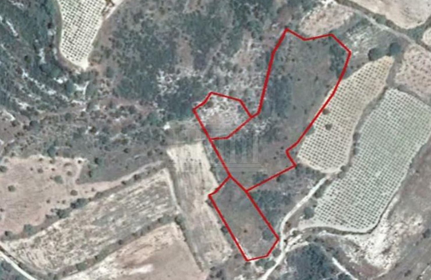 Three Fields in Trachypedoula, Paphos