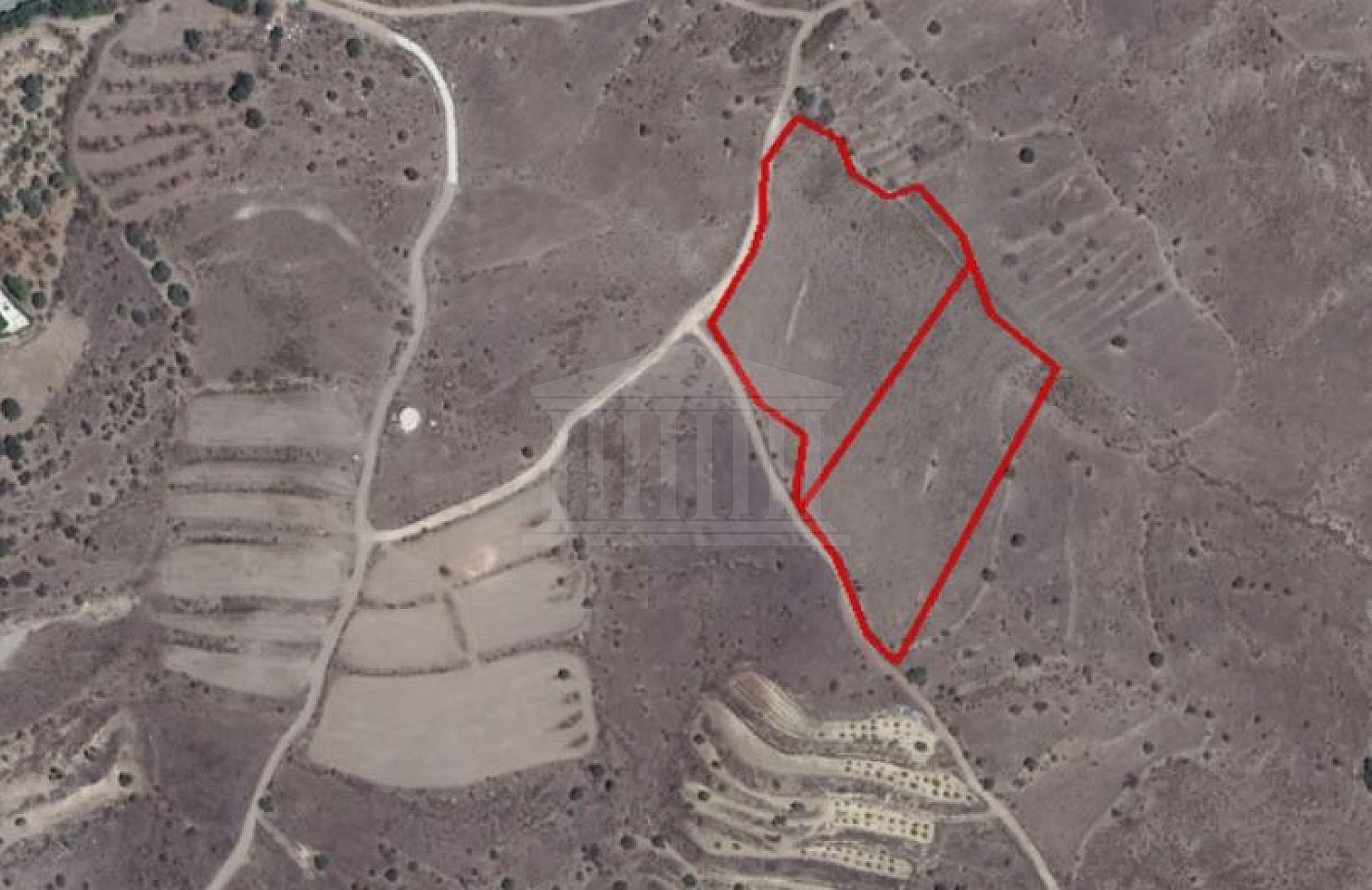 Two Fields in Pentalia, Paphos