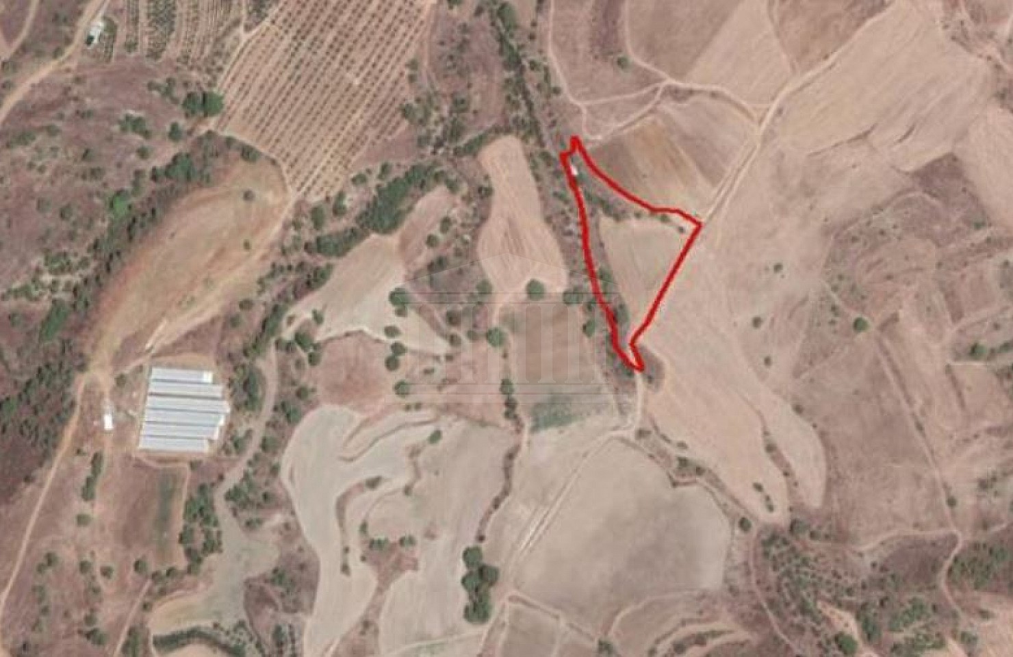 Field in Nikitari, Nicosia