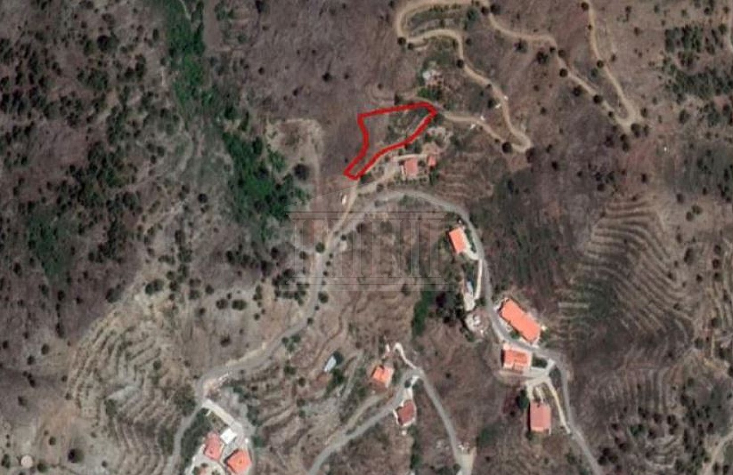 Field in Palaichori, Nicosia