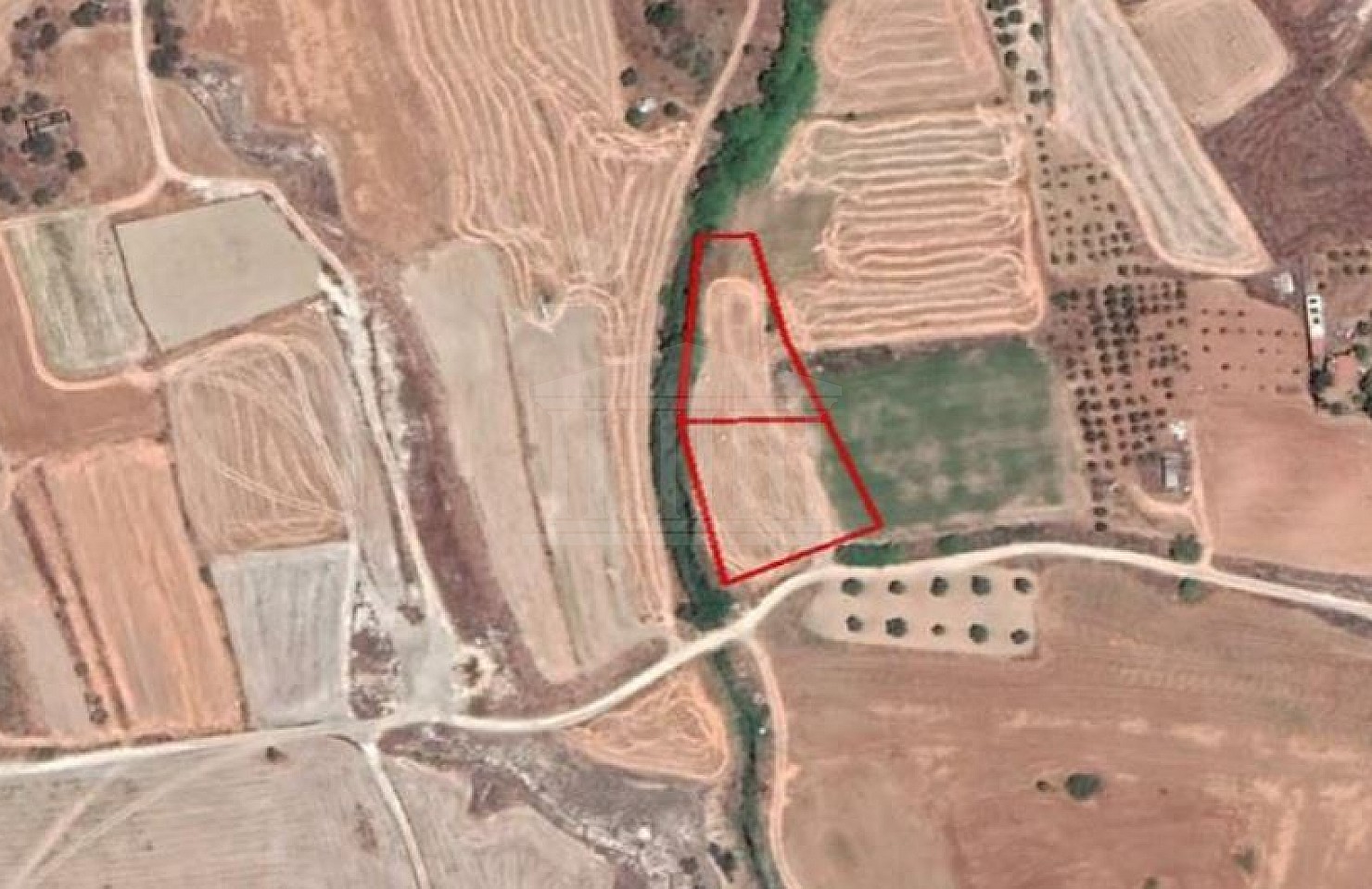 Two Fields in Palaiometocho, Nicosia