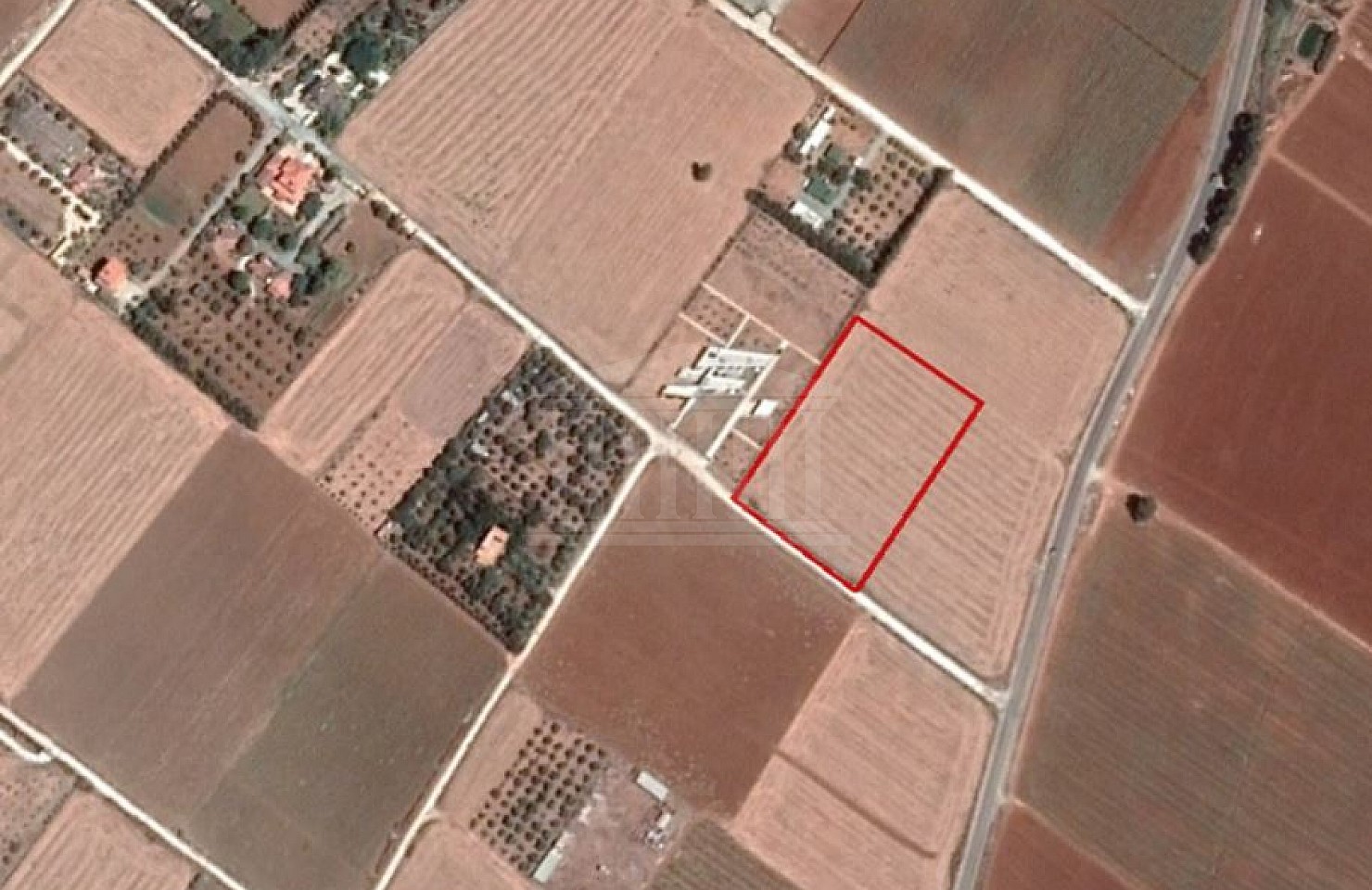 Field in Kiti, Larnaca