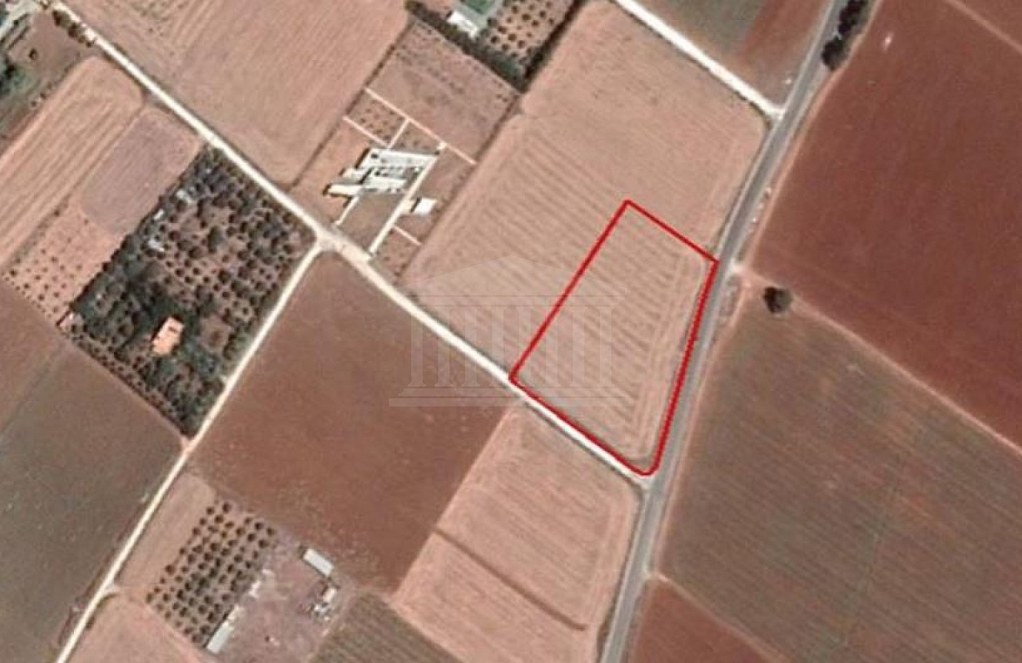 Field in Kiti, Larnaca
