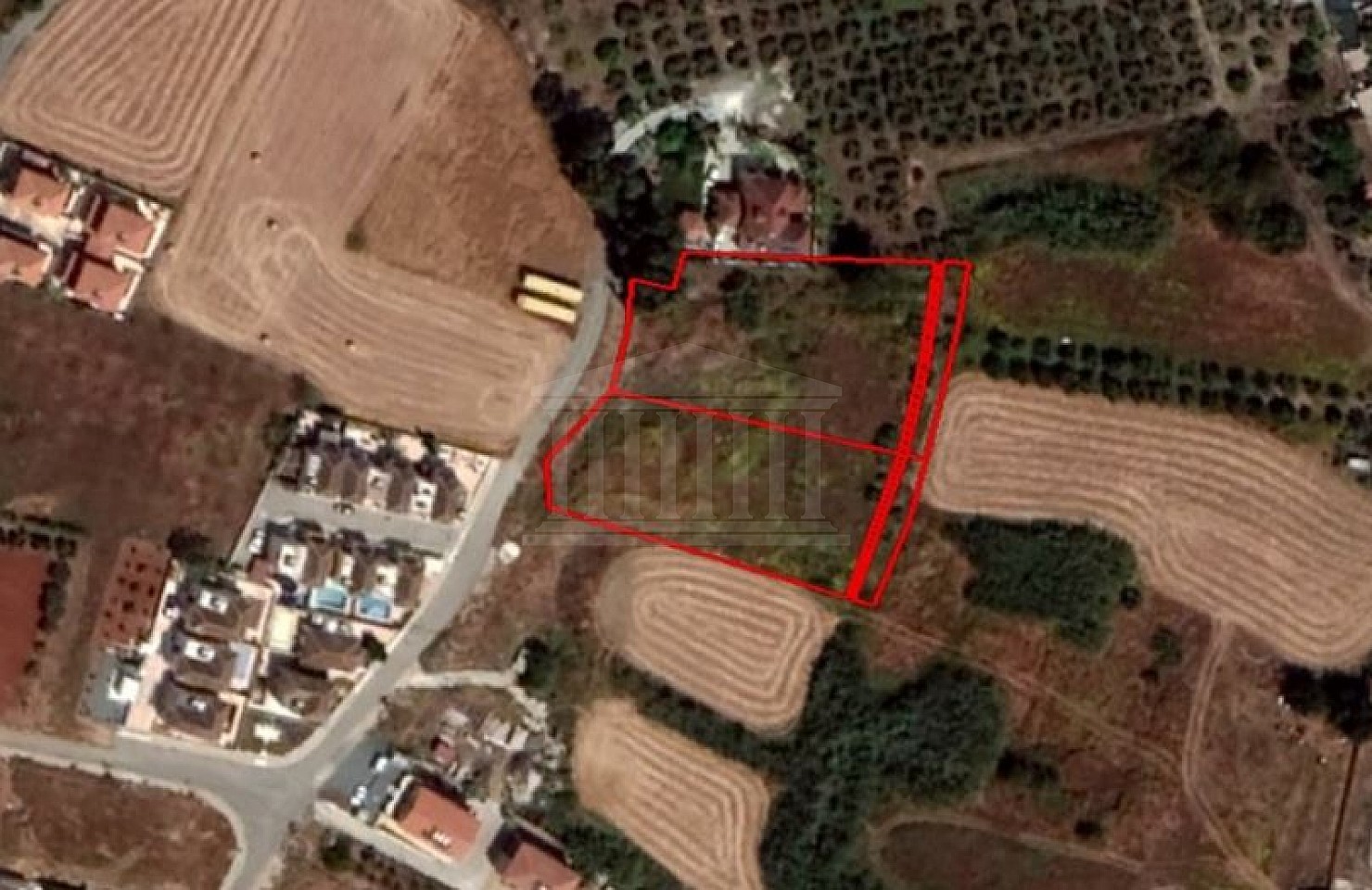 Two Fields in Avgorou, Famagusta