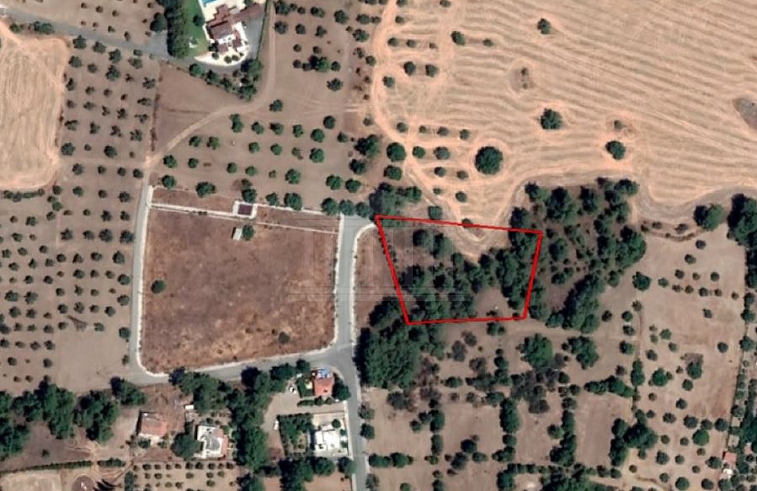 Field in Kornos, Larnaca