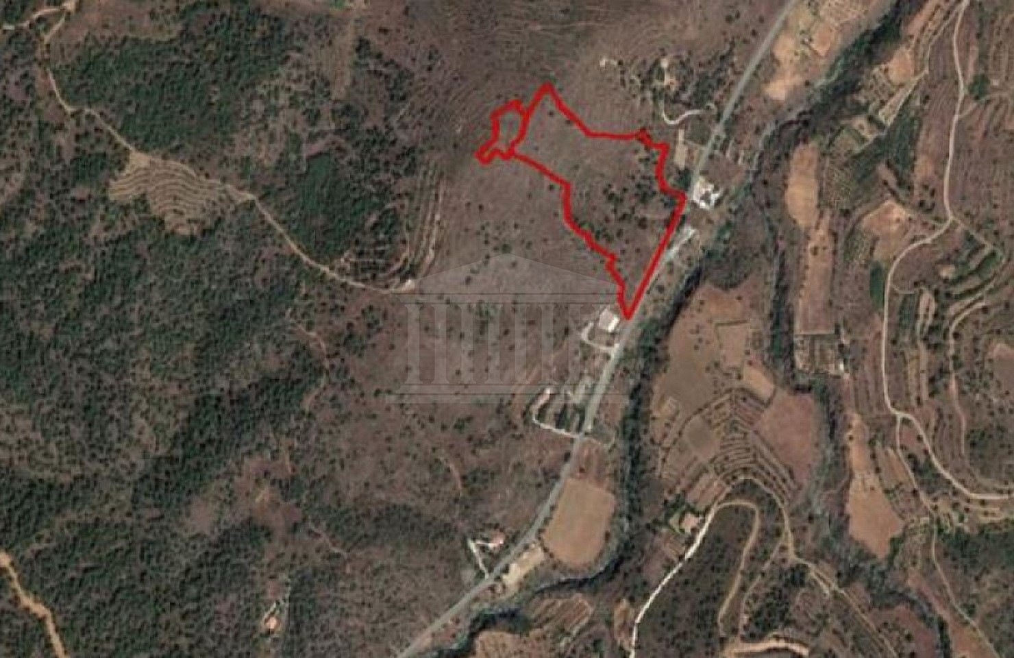 Two Fields in Agios Epifanios, Nicosia