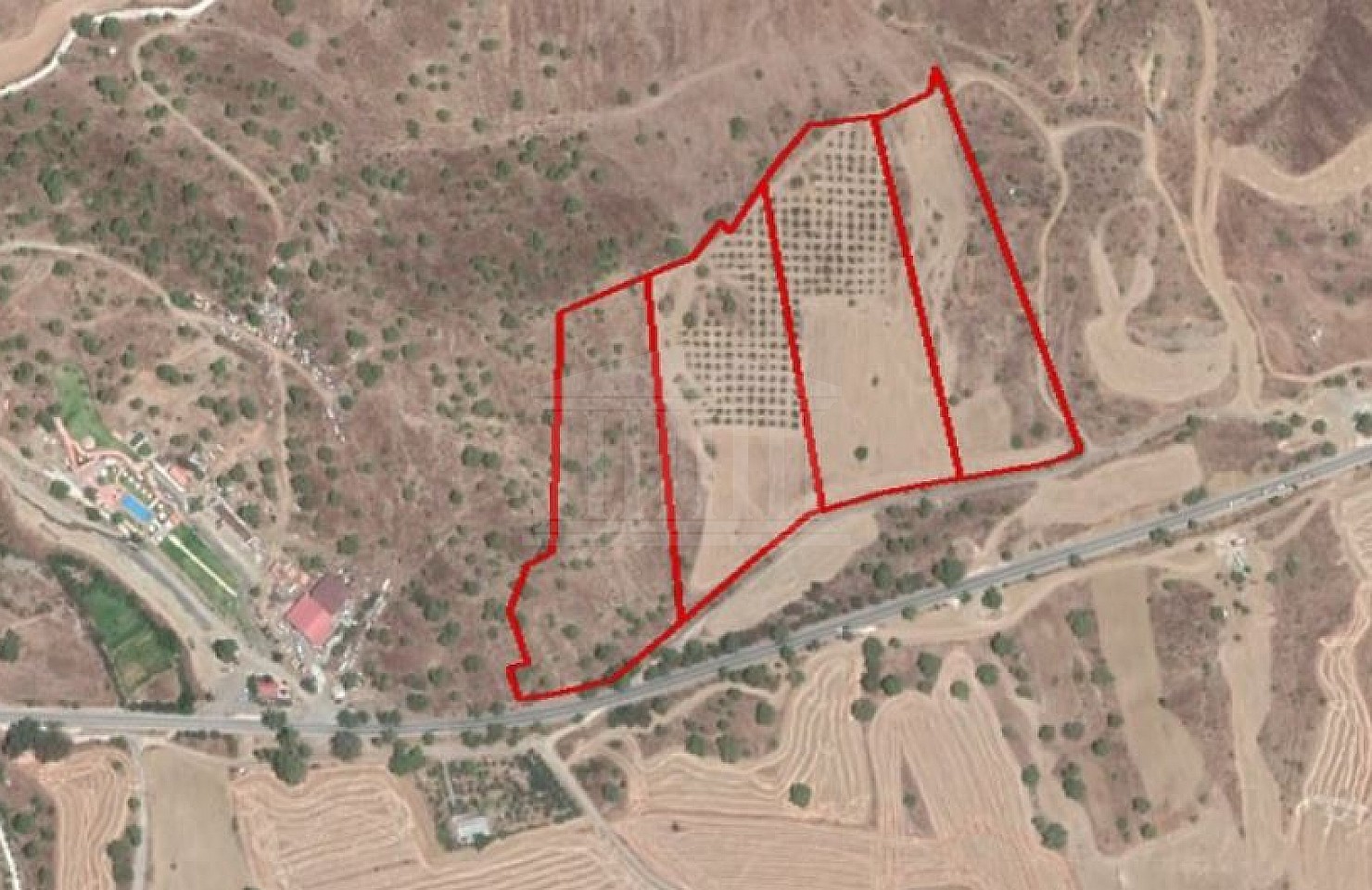 Four Fields in Kato Koutrafas, Nicosia