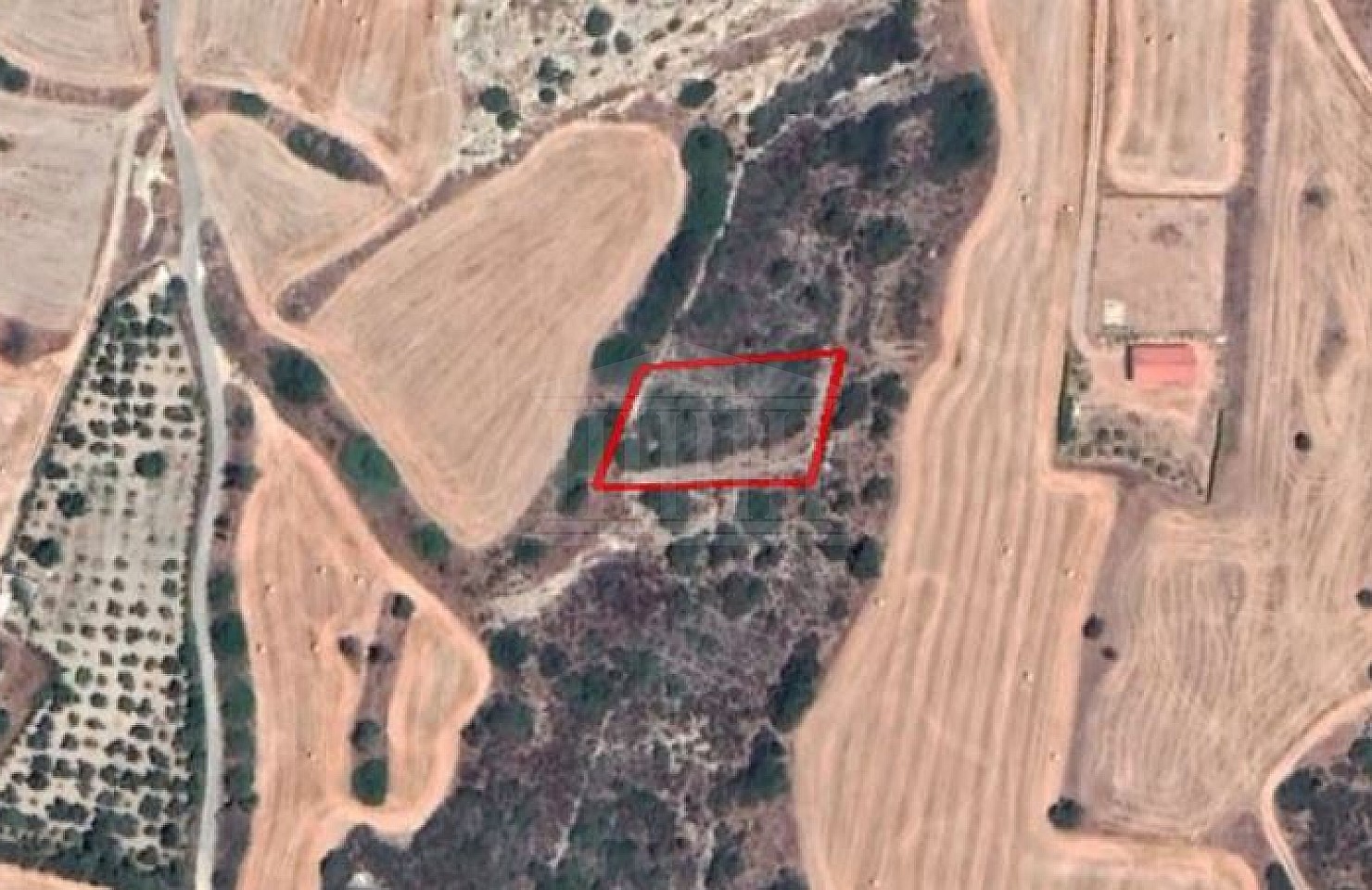 Field in Maroni, Larnaca