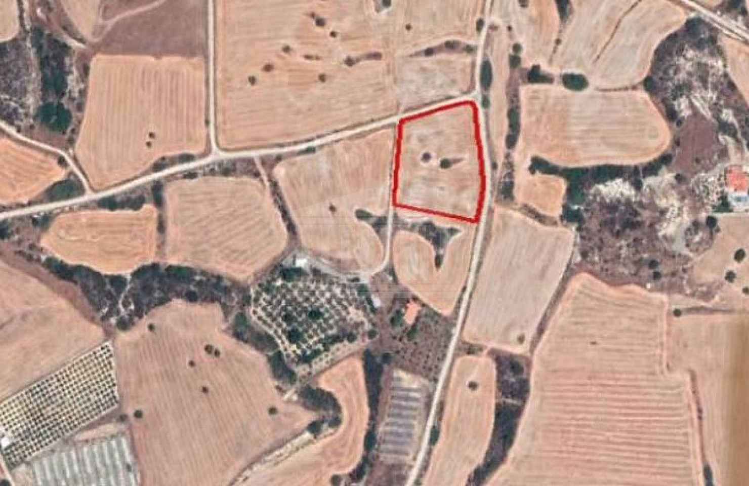 Field in Maroni, Larnaca