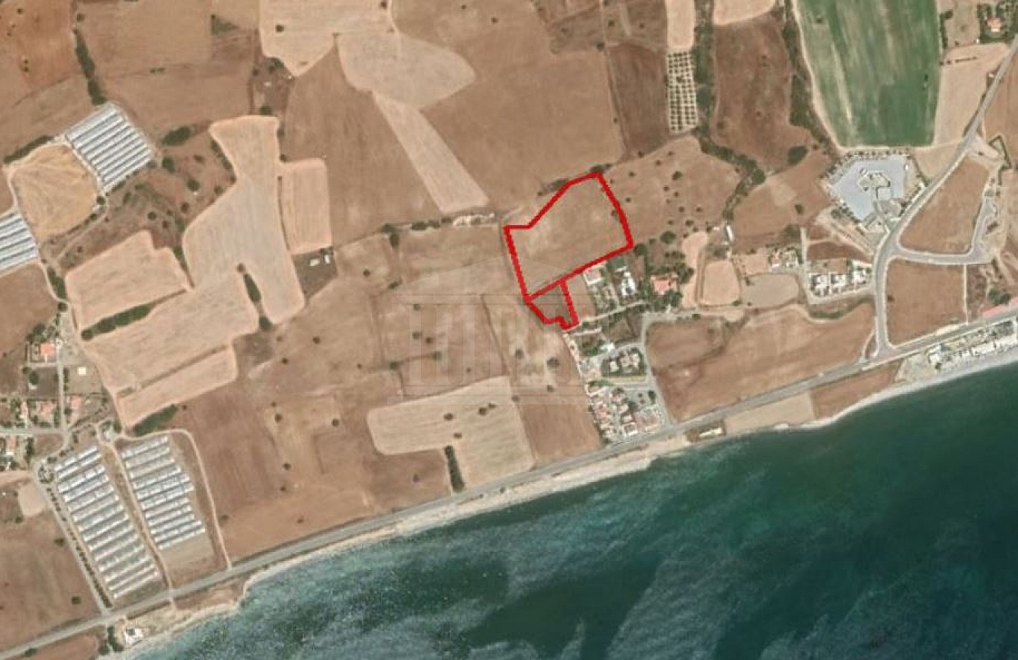 Two Fields in Agios Theodoros, Larnaca