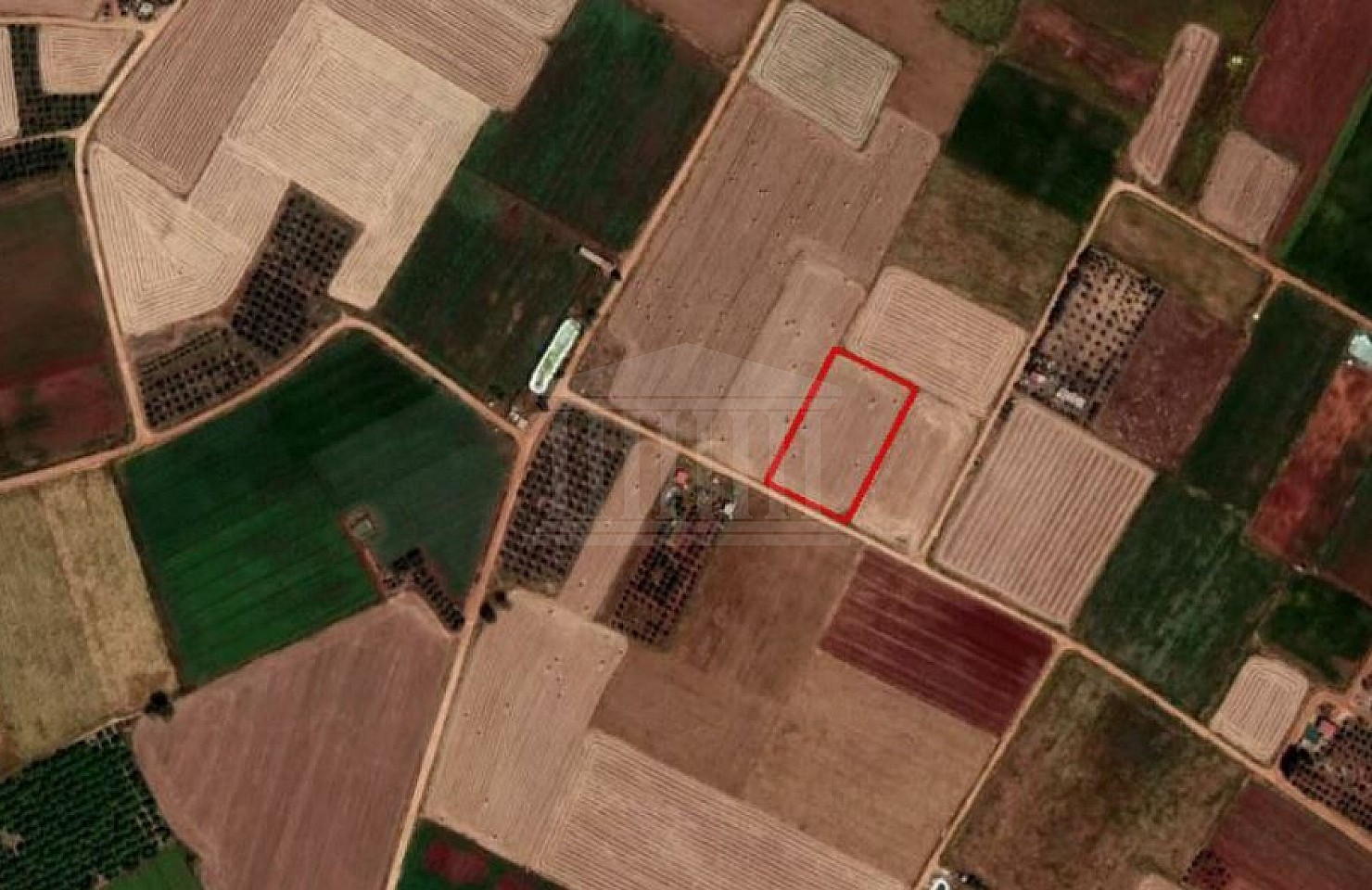 Field in Xylofagou, Larnaca