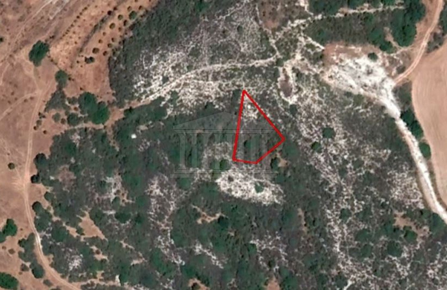 Field in Ora, Larnaca