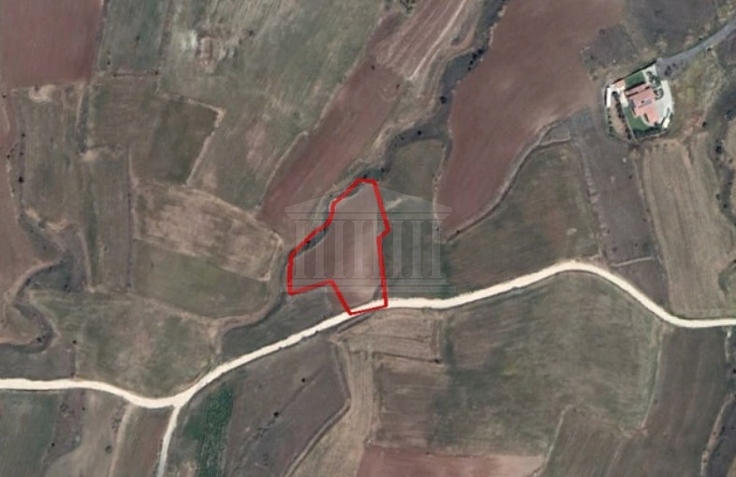 Field in Potami, Nicosia