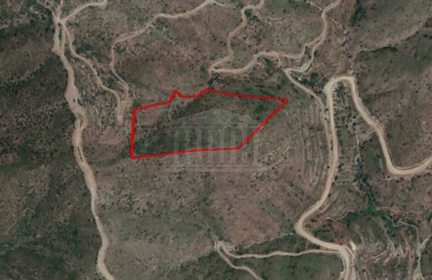 Field in Ora, Larnaca