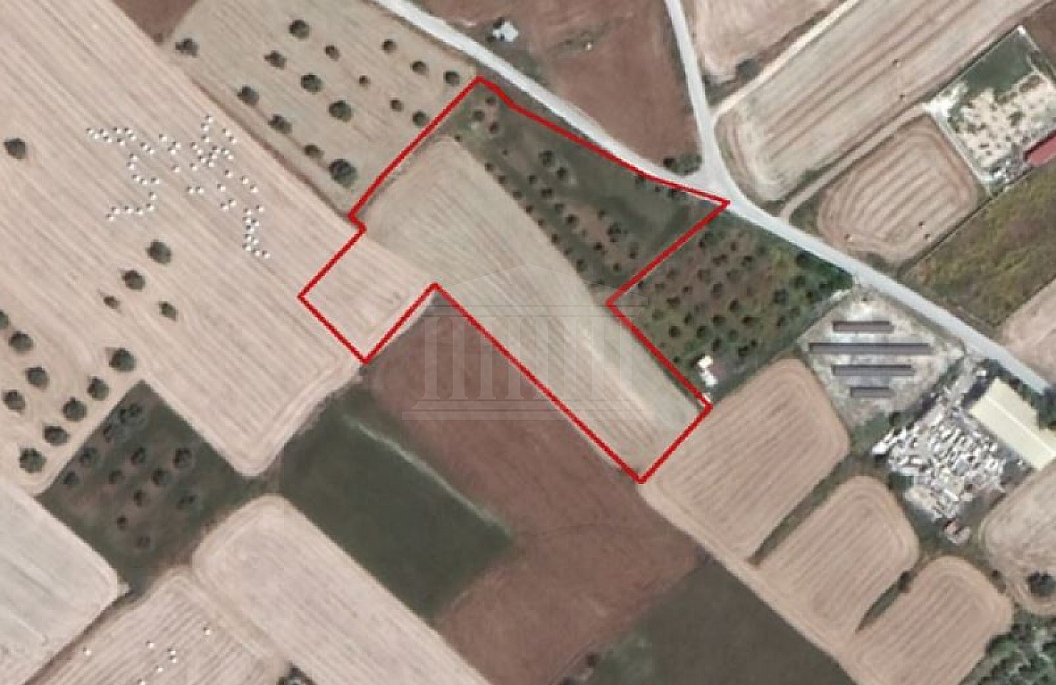 Share of Field in Aradippou, Larnaca