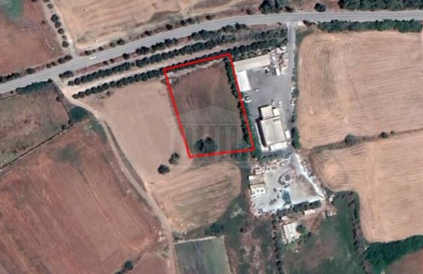 Field in Tochni, Larnaca