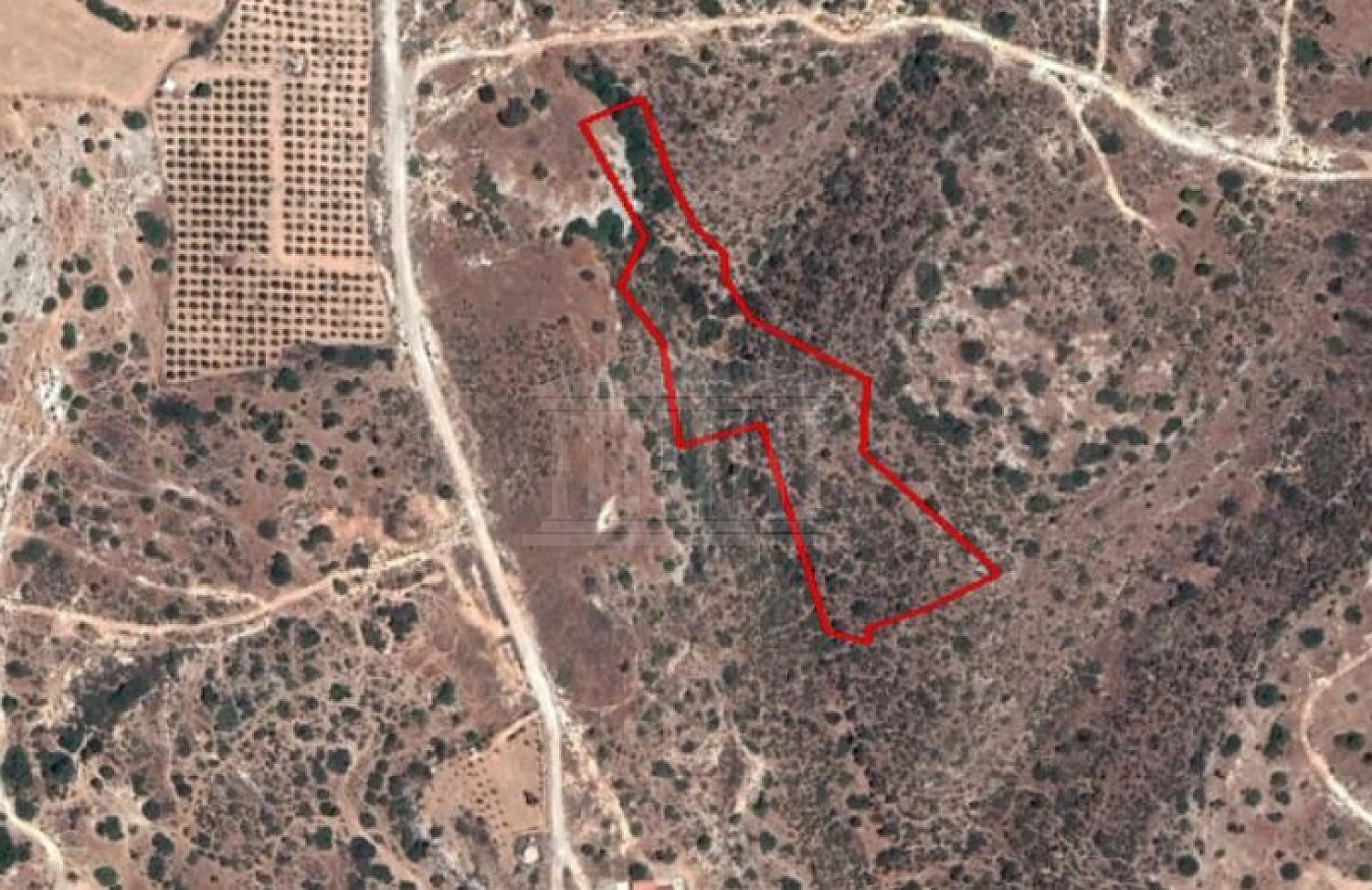 Field in Maroni, Larnaca