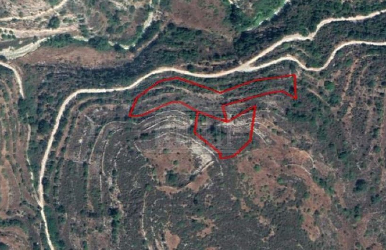 Two Fields in Pano Kivides, Limassol