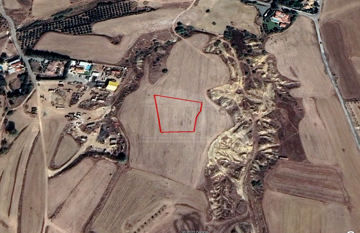 Agricultural Field in Geri