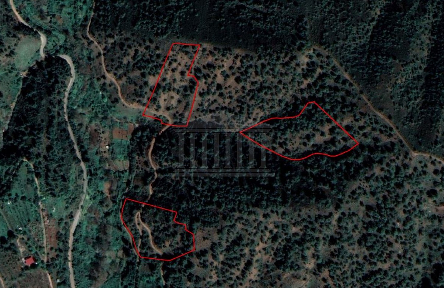 Field in Kampos, Nicosia