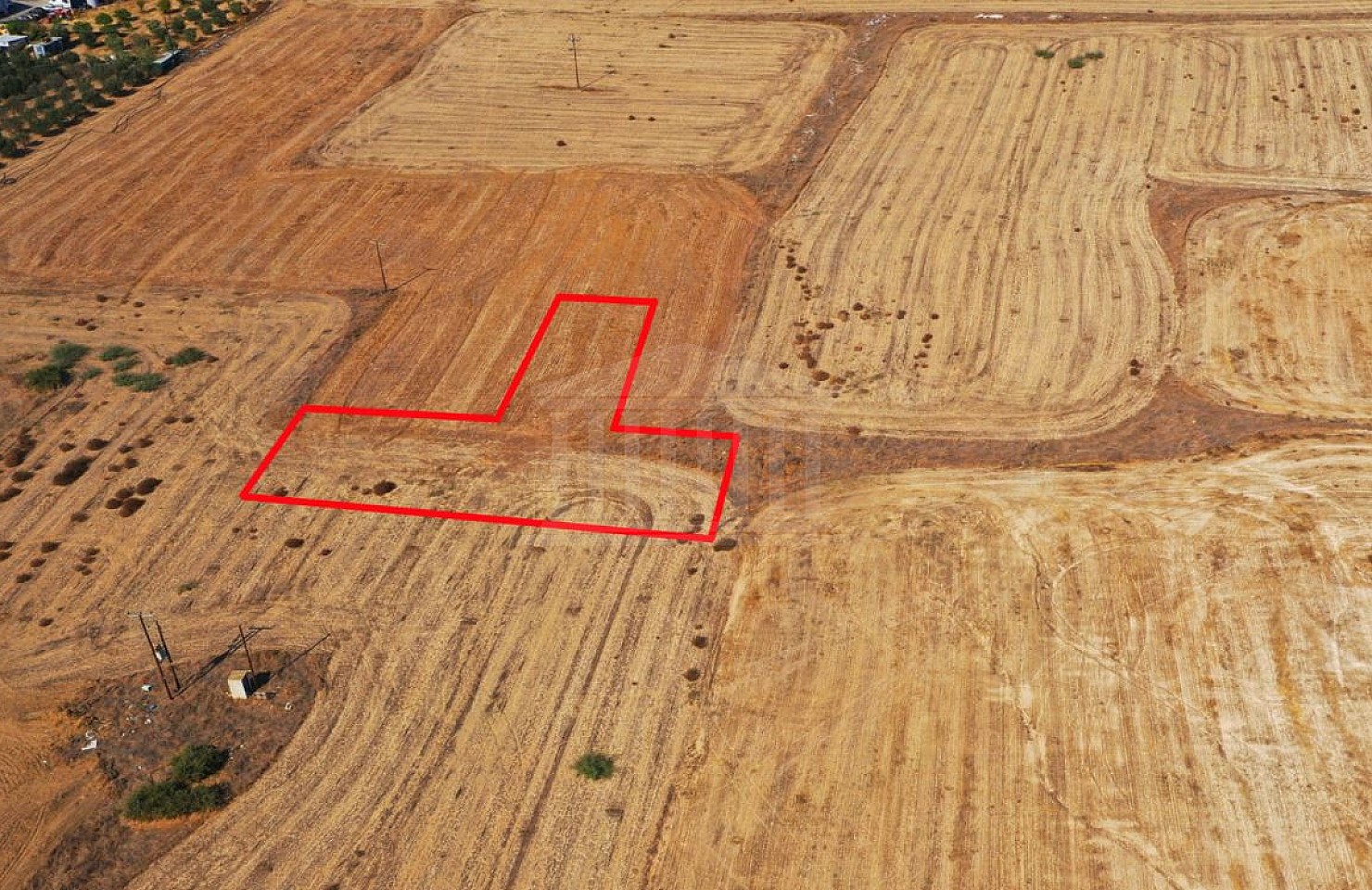 Shared fields in Geri, Nicosia