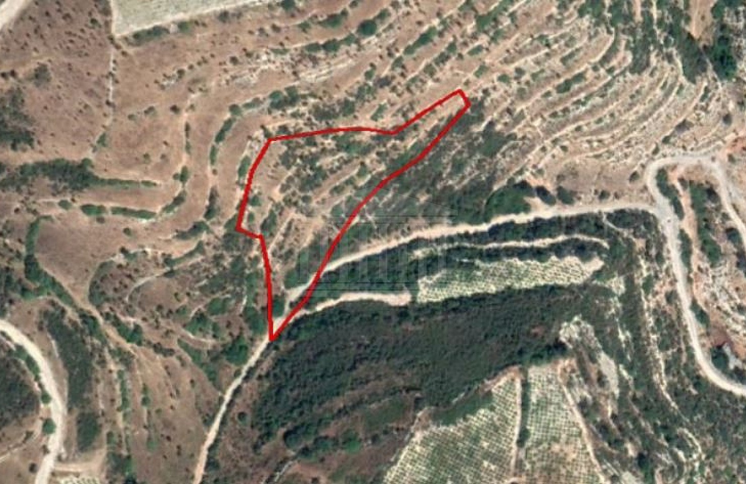 Field in Koilani, Limassol