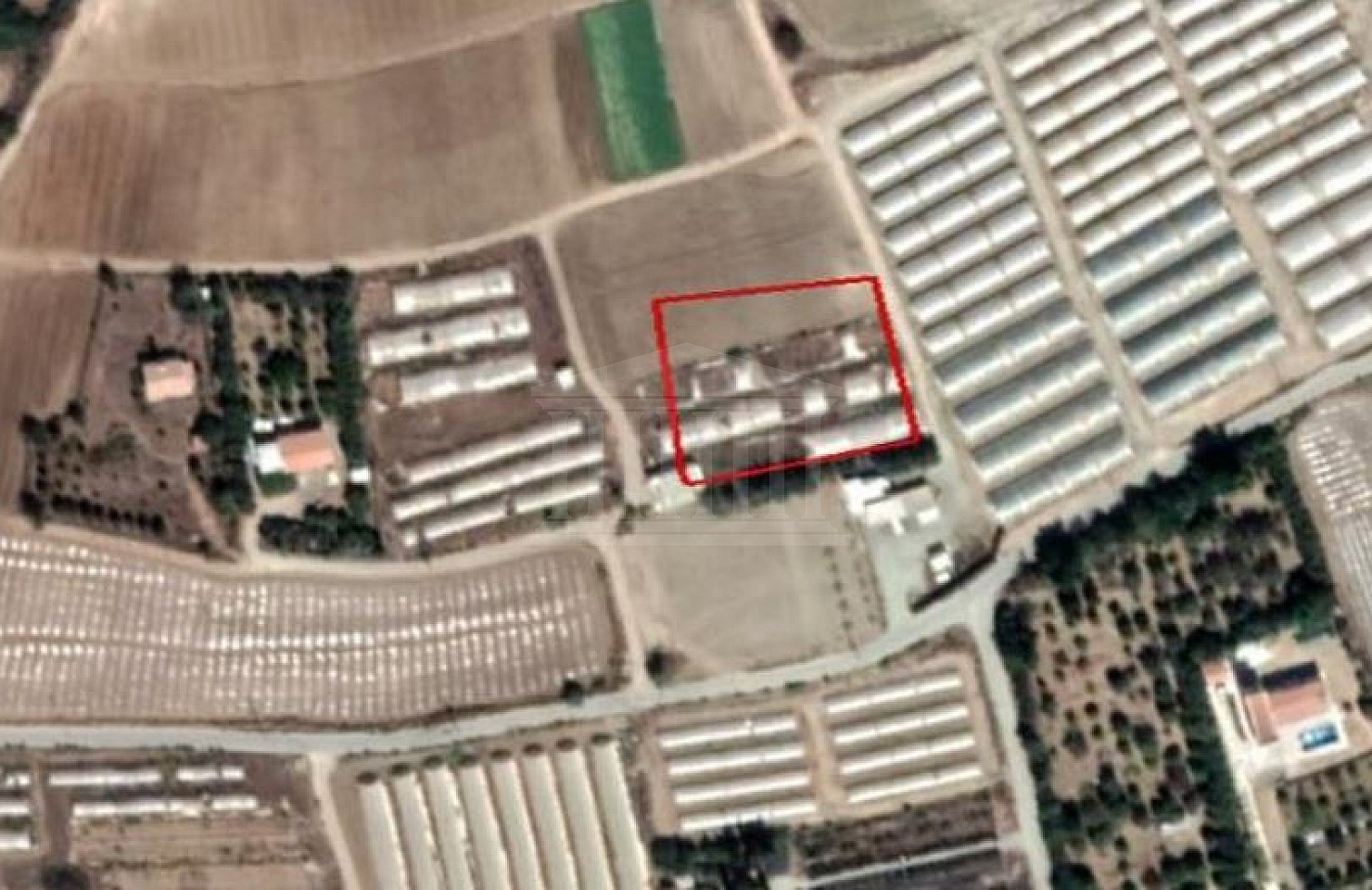 Field in Maroni, Larnaca