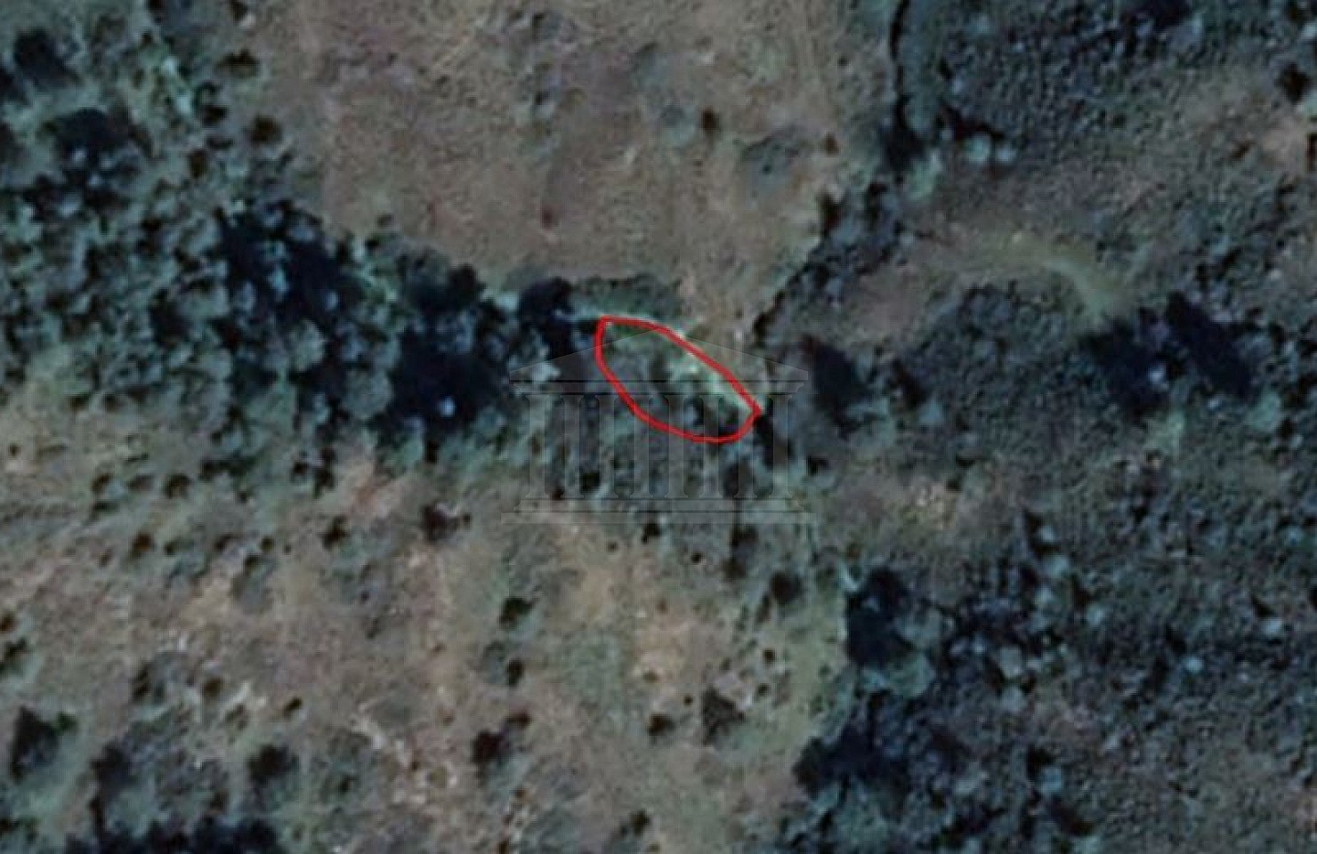 Share of Field in Pigenia, Nicosia