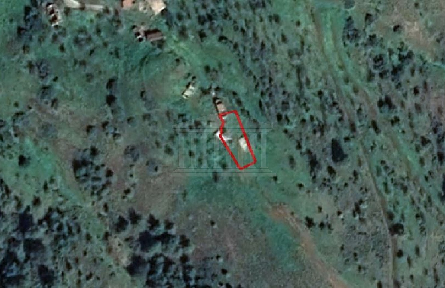 Share of Field in Pigenia, Nicosia