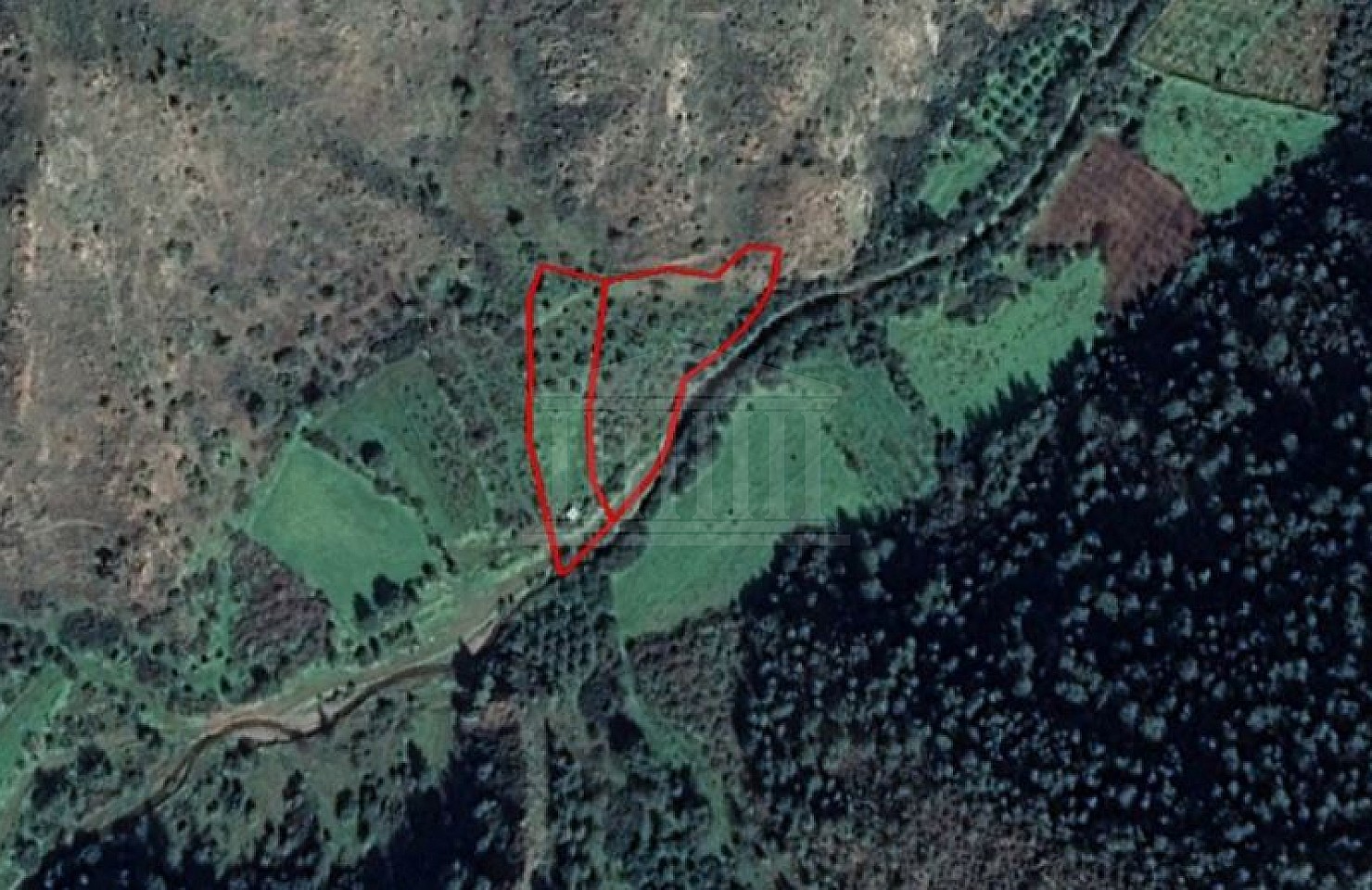 Two Fields in Pigenia, Nicosia