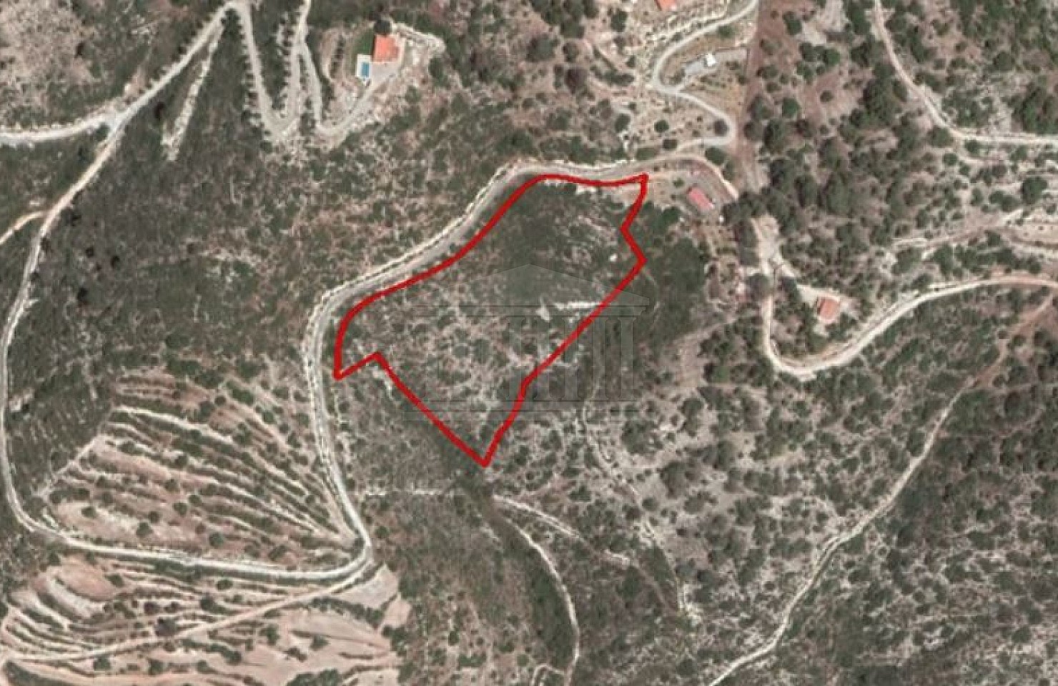 Field in Apesia, Limassol