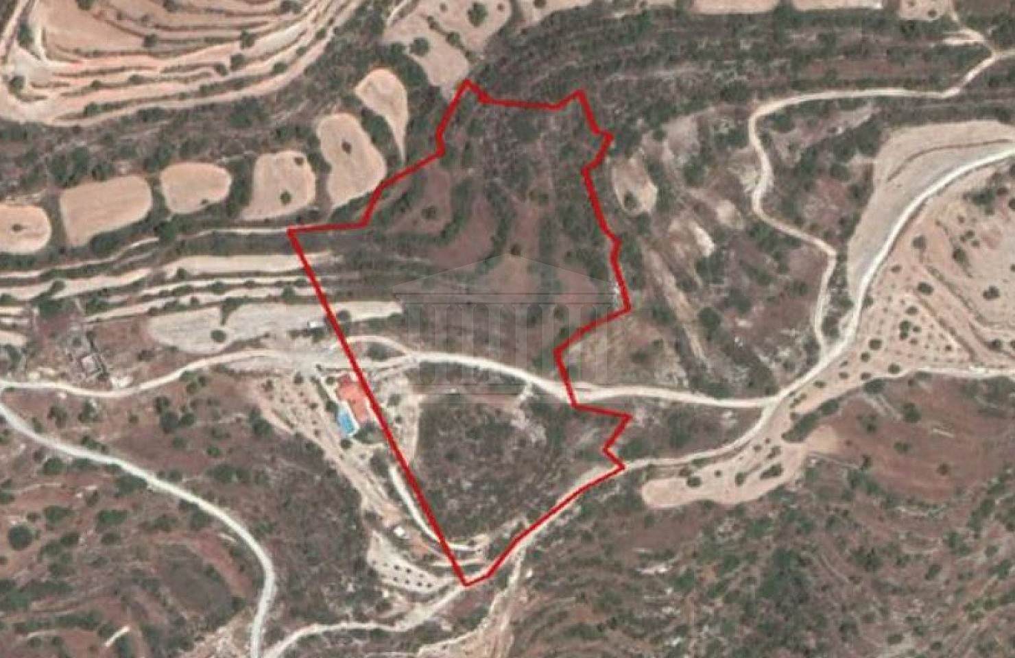 Field in Spitali, Limassol