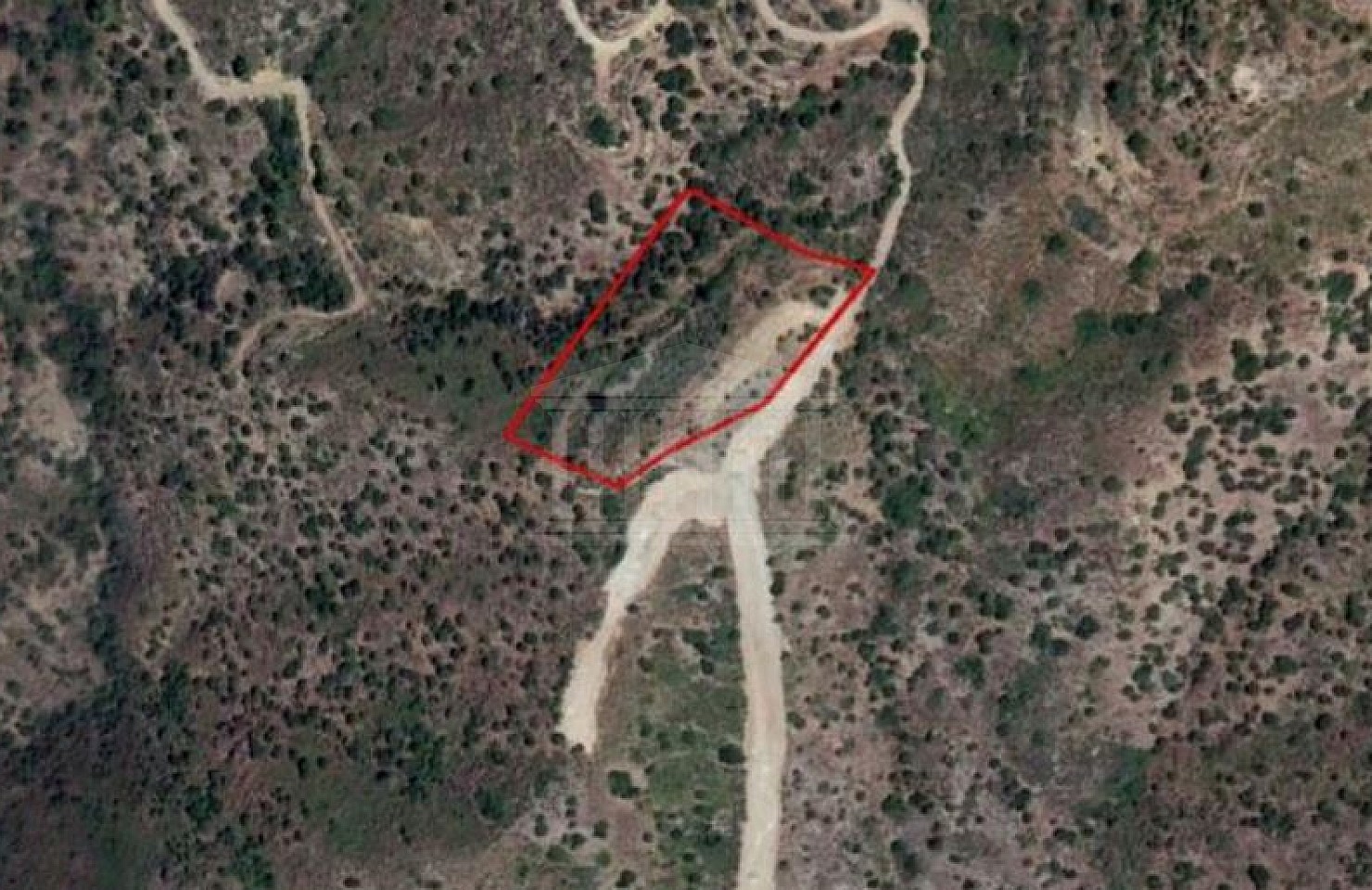 Field in Lageia, Larnaca