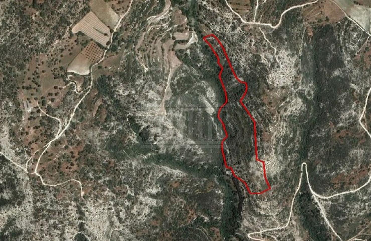 Field in Dora, Limassol