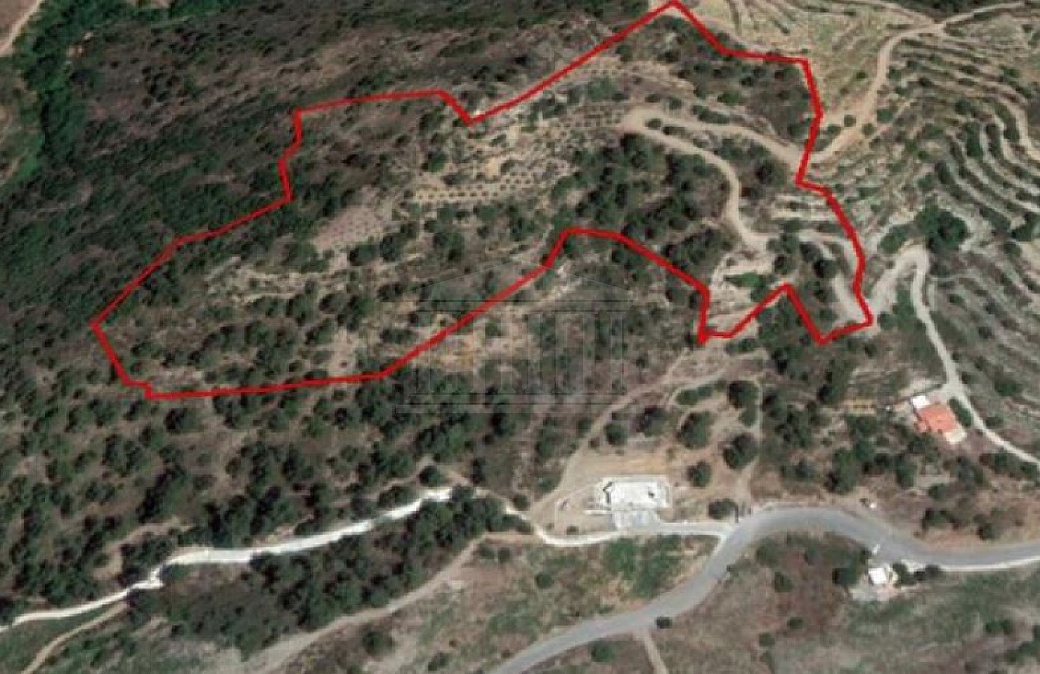 Field in Agios Pavlos, Limassol