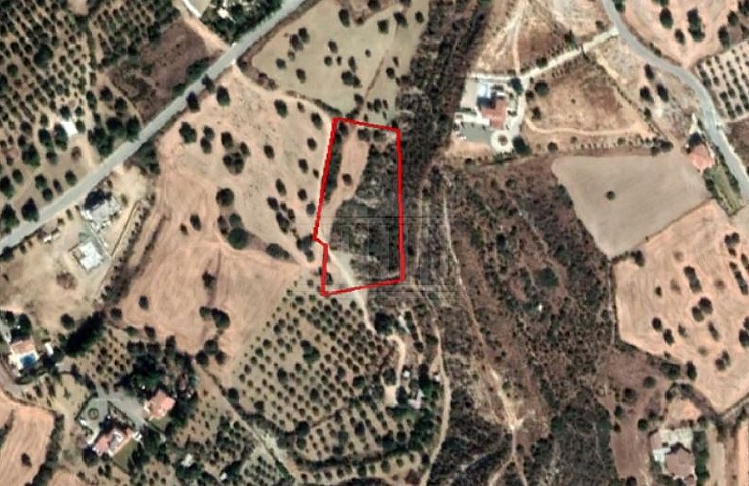 Field in Choirokoitia, Larnaca
