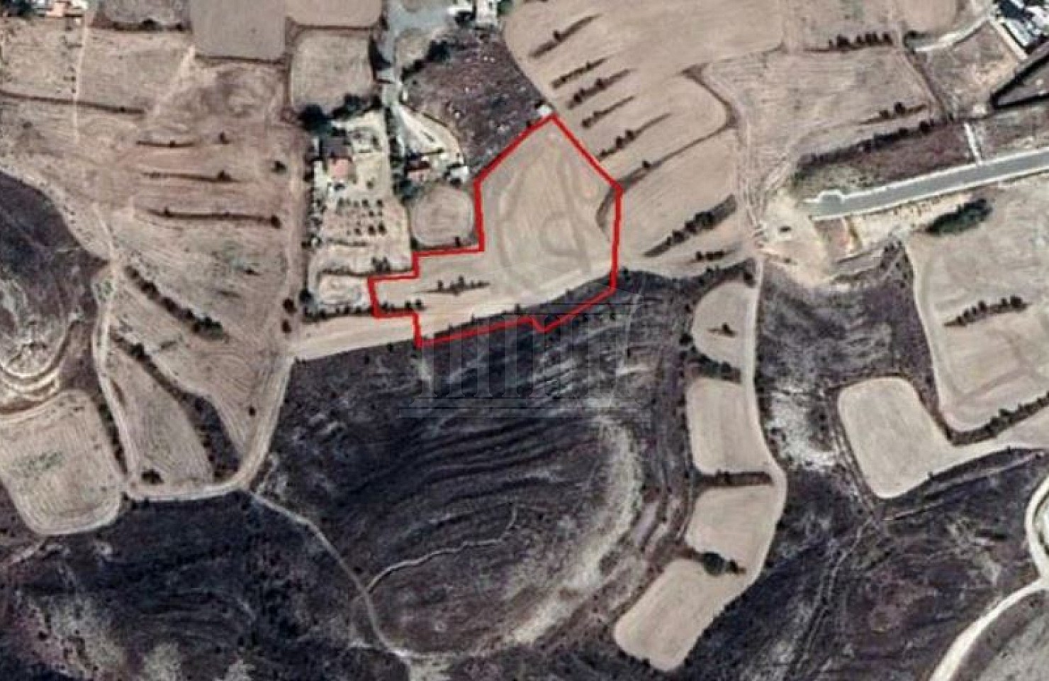 Field in Nisou, Nicosia