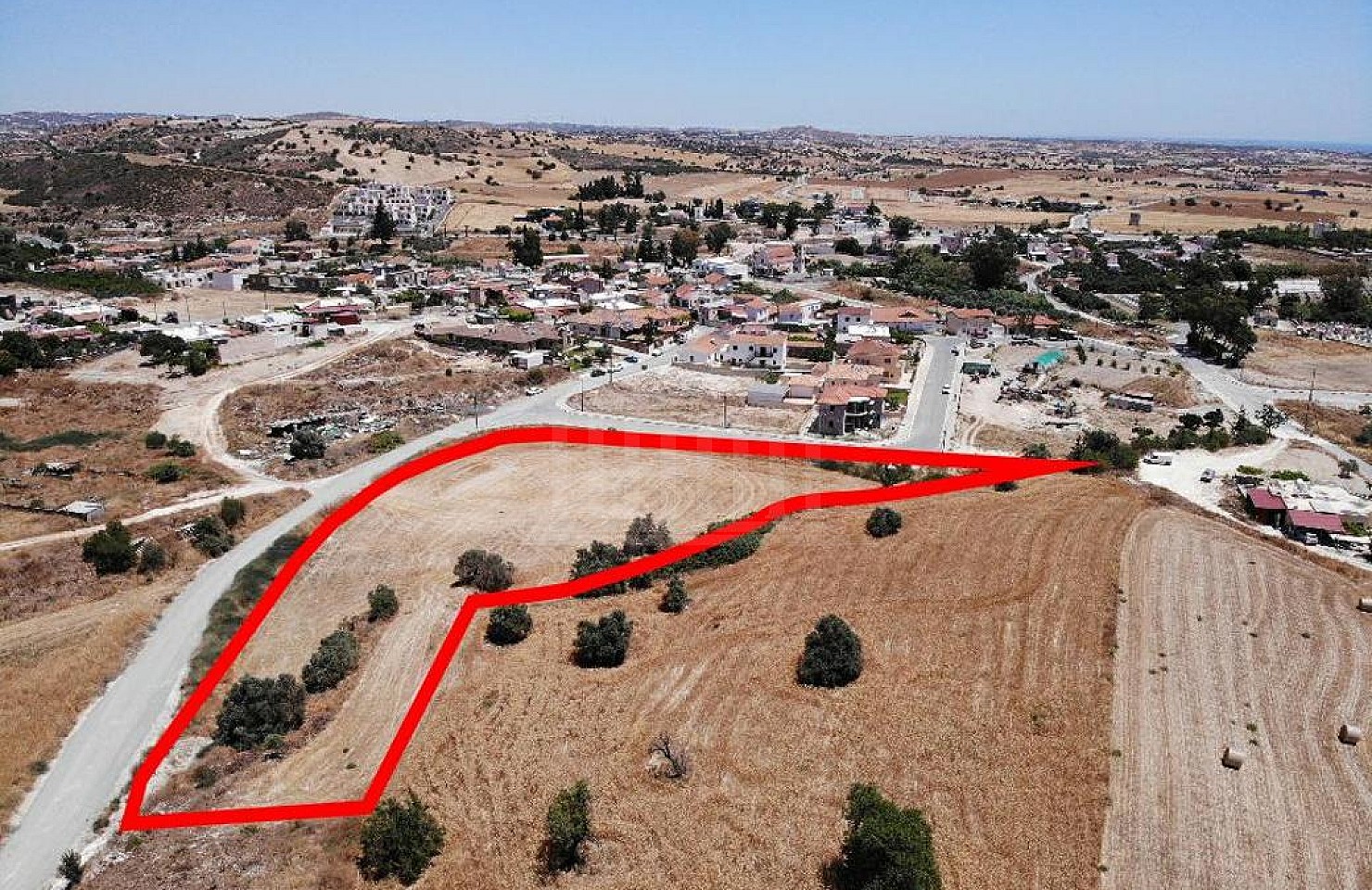 Field in Alaminos, Larnaka