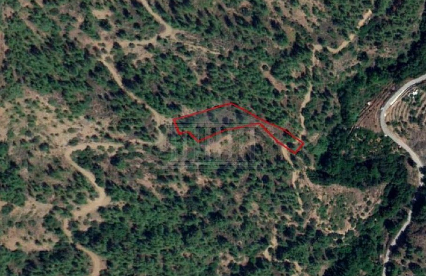 Field in Kaminaria, Limassol