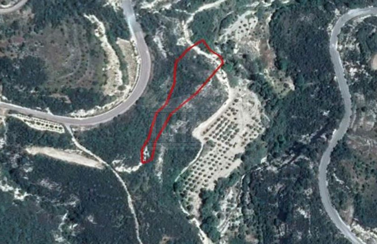 Field in Arminou, Paphos