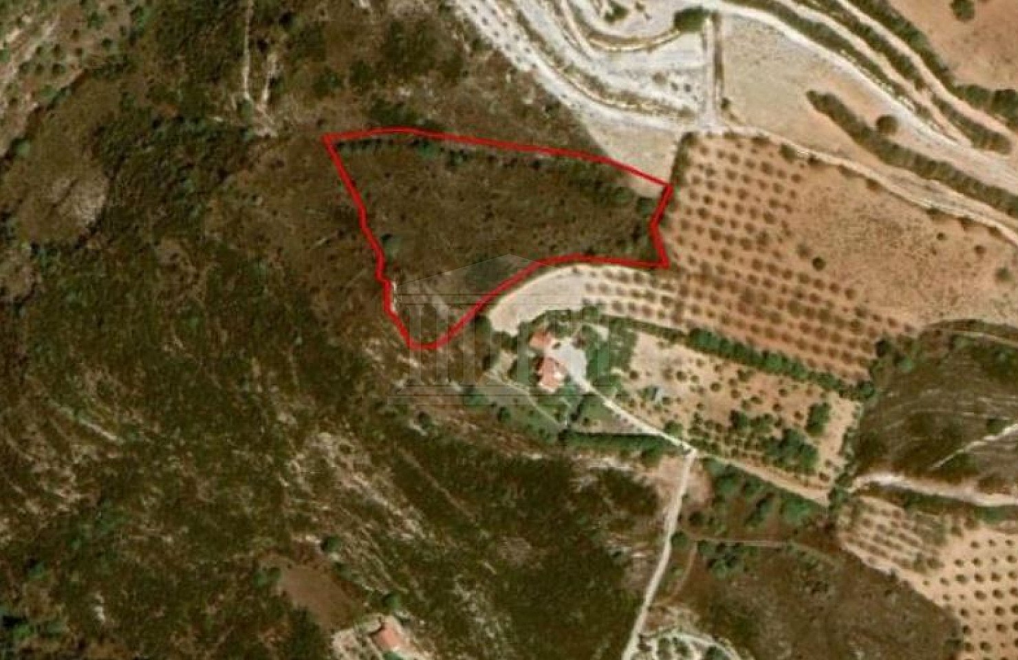 Field in Armou, Paphos
